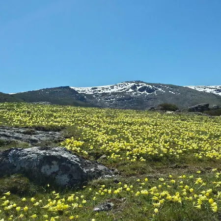 Casa Fernandez Διαμέρισμα